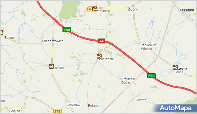 mapa Wierzbnik gmina Grodków, Wierzbnik gmina Grodków na mapie Targeo