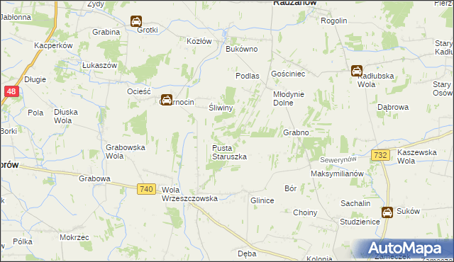 mapa Witoldów gmina Przytyk, Witoldów gmina Przytyk na mapie Targeo