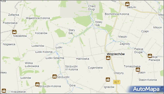 mapa Wojciechów-Kolonia Pierwsza, Wojciechów-Kolonia Pierwsza na mapie Targeo