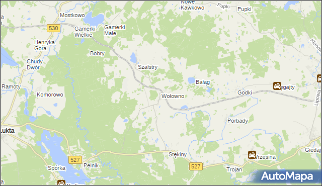 mapa Wołowno, Wołowno na mapie Targeo