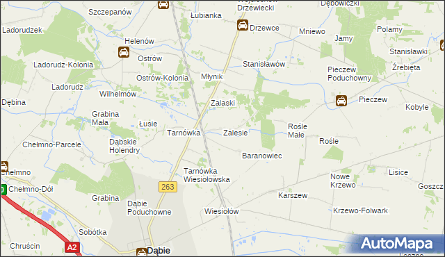 mapa Zalesie gmina Dąbie, Zalesie gmina Dąbie na mapie Targeo