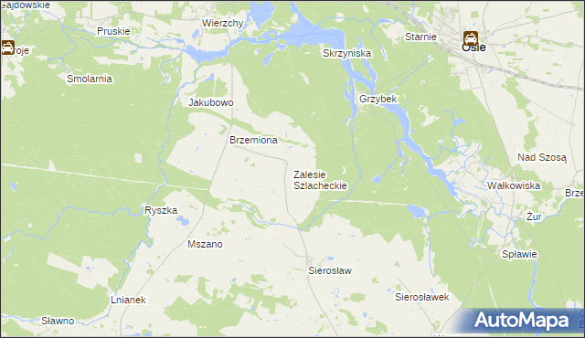 mapa Zalesie Szlacheckie, Zalesie Szlacheckie na mapie Targeo
