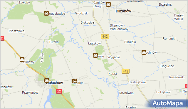 mapa Żerniki gmina Blizanów, Żerniki gmina Blizanów na mapie Targeo