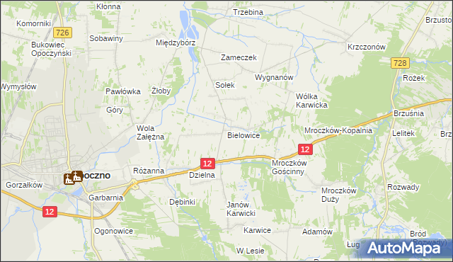 mapa Bielowice gmina Opoczno, Bielowice gmina Opoczno na mapie Targeo