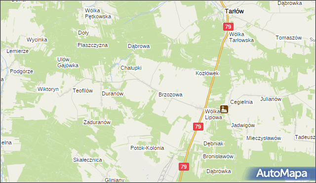 mapa Brzozowa gmina Tarłów, Brzozowa gmina Tarłów na mapie Targeo