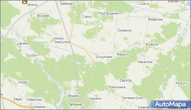 mapa Drużykowa, Drużykowa na mapie Targeo