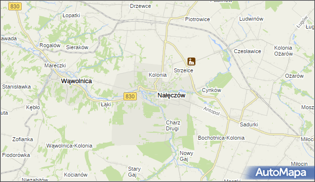 mapa Nałęczów powiat puławski, Nałęczów powiat puławski na mapie Targeo