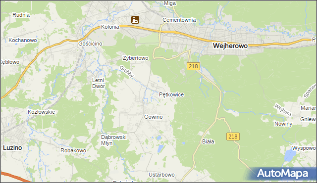 mapa Pętkowice gmina Wejherowo, Pętkowice gmina Wejherowo na mapie Targeo