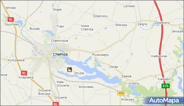 mapa Pluskowęsy gmina Chełmża, Pluskowęsy gmina Chełmża na mapie Targeo