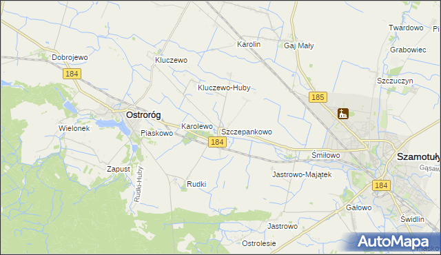 mapa Szczepankowo gmina Ostroróg, Szczepankowo gmina Ostroróg na mapie Targeo