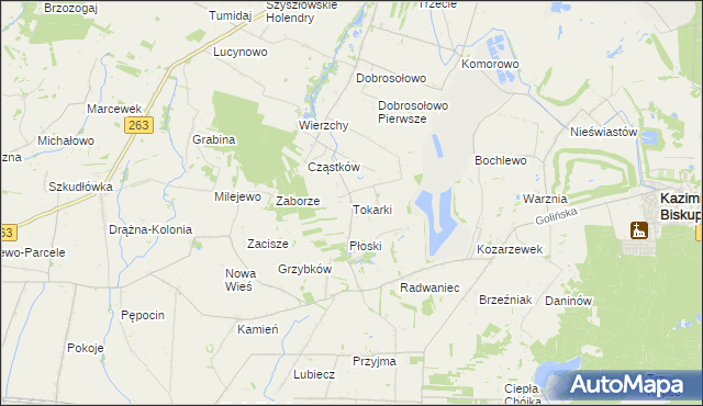 mapa Tokarki, Tokarki na mapie Targeo