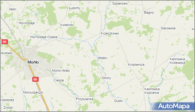 mapa Waśki gmina Mońki, Waśki gmina Mońki na mapie Targeo