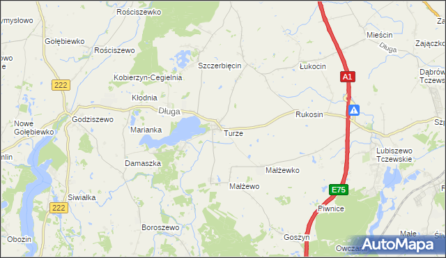 mapa Turze gmina Tczew, Turze gmina Tczew na mapie Targeo