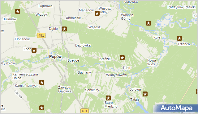 mapa Brzózki gmina Popów, Brzózki gmina Popów na mapie Targeo