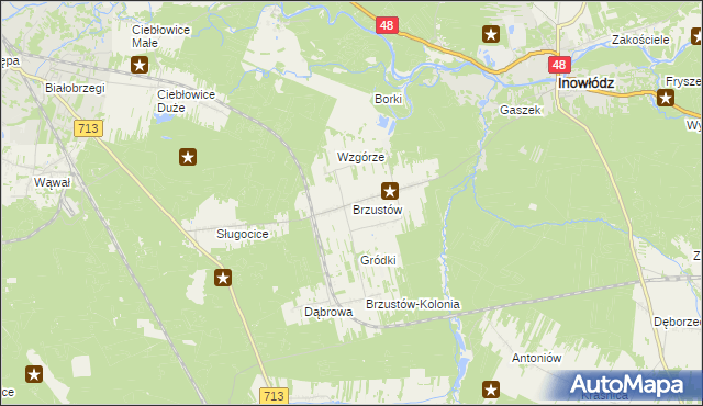 mapa Brzustów gmina Inowłódz, Brzustów gmina Inowłódz na mapie Targeo