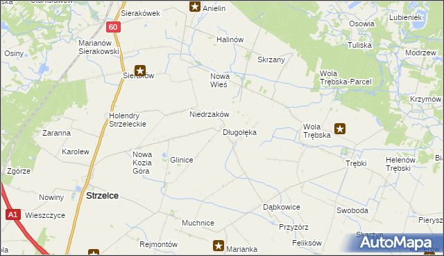 mapa Długołęka gmina Strzelce, Długołęka gmina Strzelce na mapie Targeo