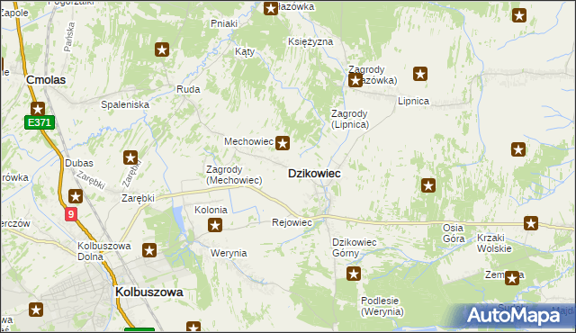 mapa Dzikowiec powiat kolbuszowski, Dzikowiec powiat kolbuszowski na mapie Targeo