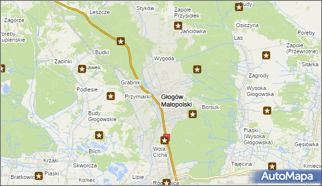 mapa Głogów Małopolski, Głogów Małopolski na mapie Targeo