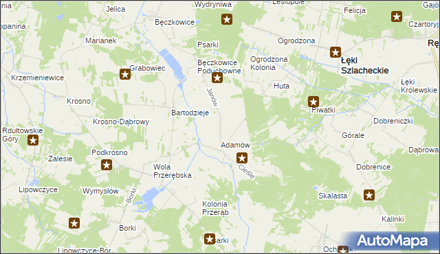 mapa Janów gmina Łęki Szlacheckie, Janów gmina Łęki Szlacheckie na mapie Targeo