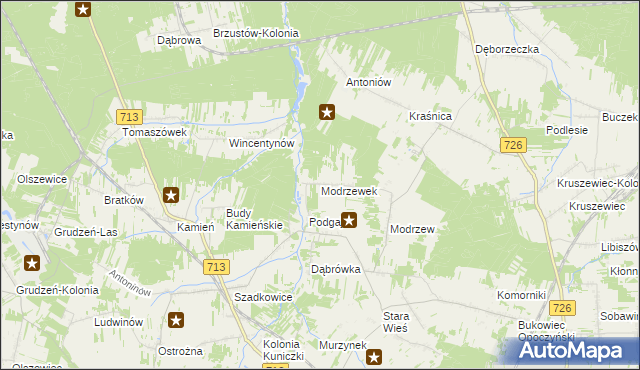 mapa Modrzewek gmina Opoczno, Modrzewek gmina Opoczno na mapie Targeo