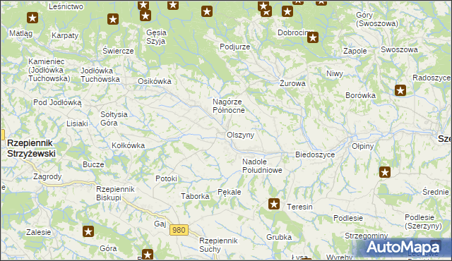 mapa Olszyny gmina Rzepiennik Strzyżewski, Olszyny gmina Rzepiennik Strzyżewski na mapie Targeo