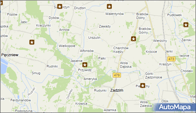 mapa Pałki gmina Zadzim, Pałki gmina Zadzim na mapie Targeo