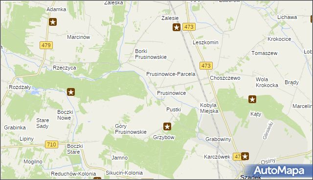 mapa Prusinowice gmina Szadek, Prusinowice gmina Szadek na mapie Targeo