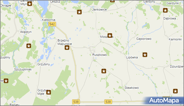 mapa Ruszkowo gmina Działdowo, Ruszkowo gmina Działdowo na mapie Targeo