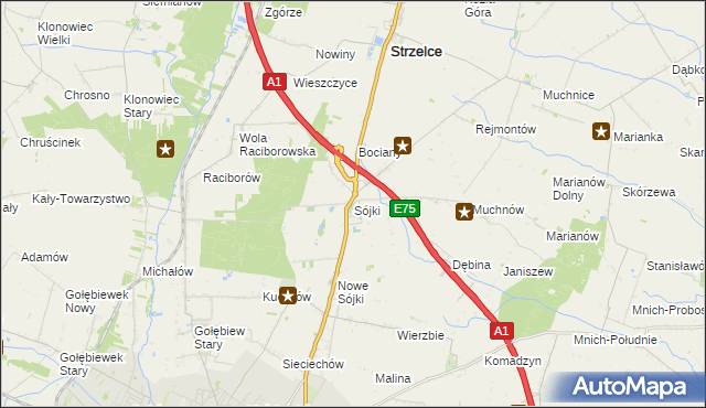 mapa Sójki gmina Strzelce, Sójki gmina Strzelce na mapie Targeo
