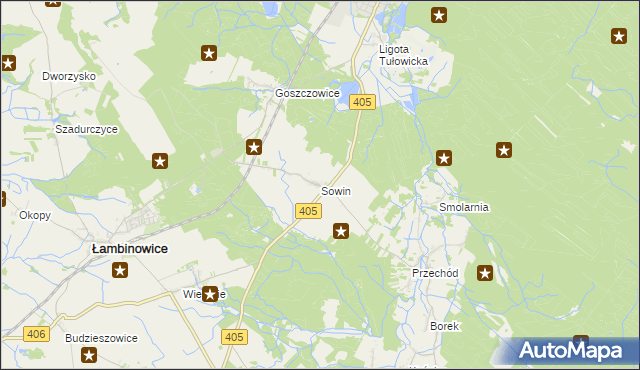 mapa Sowin gmina Łambinowice, Sowin gmina Łambinowice na mapie Targeo