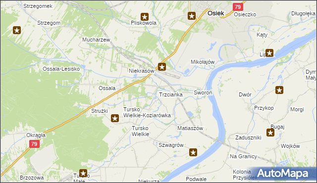 mapa Trzcianka gmina Osiek, Trzcianka gmina Osiek na mapie Targeo