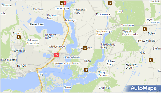 mapa Wąsosze gmina Ślesin, Wąsosze gmina Ślesin na mapie Targeo