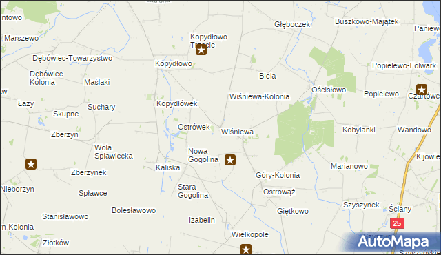 mapa Wiśniewa gmina Wilczyn, Wiśniewa gmina Wilczyn na mapie Targeo