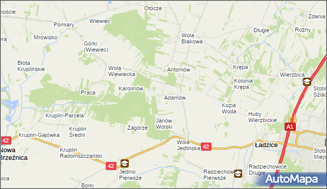 mapa Adamów gmina Ładzice, Adamów gmina Ładzice na mapie Targeo