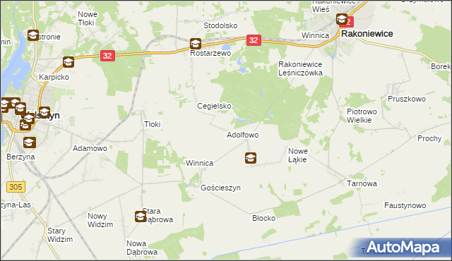 mapa Adolfowo gmina Rakoniewice, Adolfowo gmina Rakoniewice na mapie Targeo