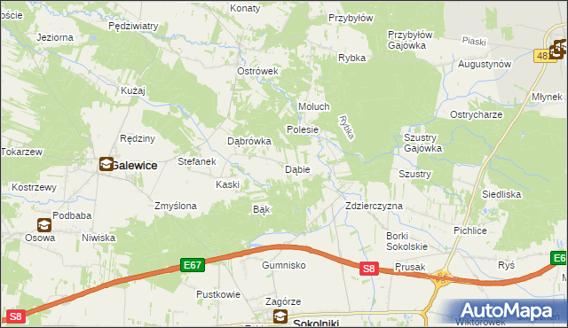 mapa Dąbie gmina Galewice, Dąbie gmina Galewice na mapie Targeo