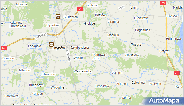 mapa Dąbrowa Duża gmina Chynów, Dąbrowa Duża gmina Chynów na mapie Targeo