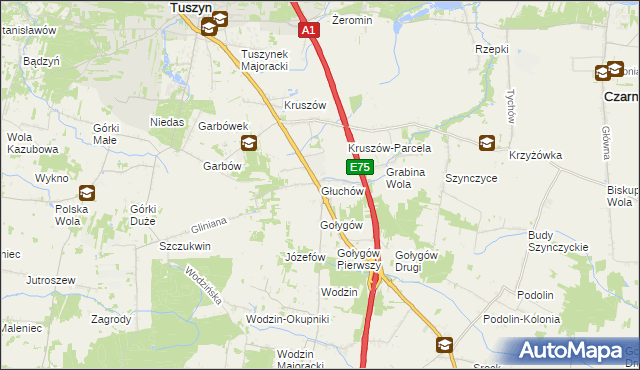 mapa Głuchów gmina Tuszyn, Głuchów gmina Tuszyn na mapie Targeo