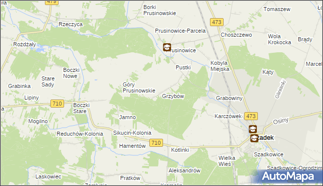 mapa Grzybów gmina Szadek, Grzybów gmina Szadek na mapie Targeo