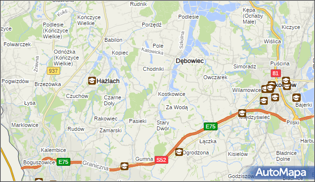 mapa Kostkowice gmina Dębowiec, Kostkowice gmina Dębowiec na mapie Targeo
