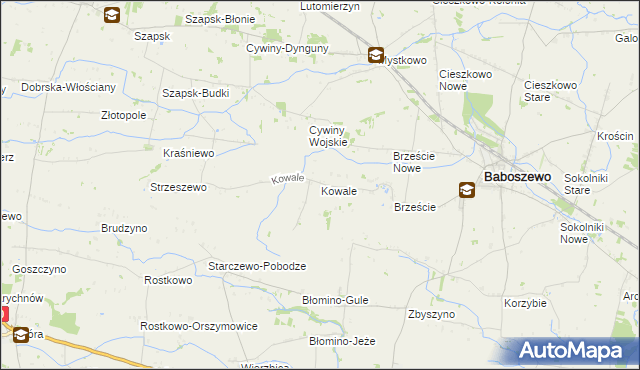 mapa Kowale gmina Baboszewo, Kowale gmina Baboszewo na mapie Targeo