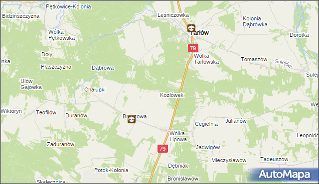 mapa Kozłówek gmina Tarłów, Kozłówek gmina Tarłów na mapie Targeo
