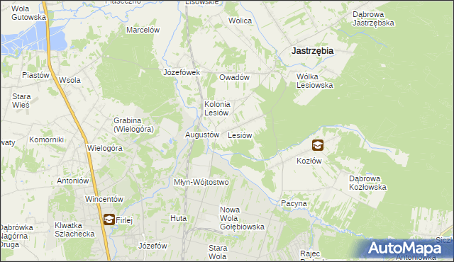 mapa Lesiów, Lesiów na mapie Targeo