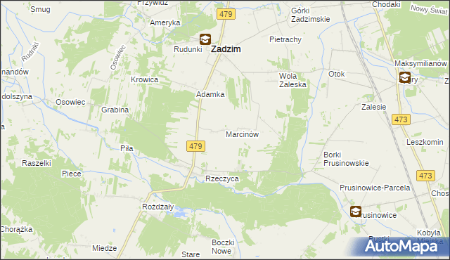 mapa Marcinów gmina Zadzim, Marcinów gmina Zadzim na mapie Targeo
