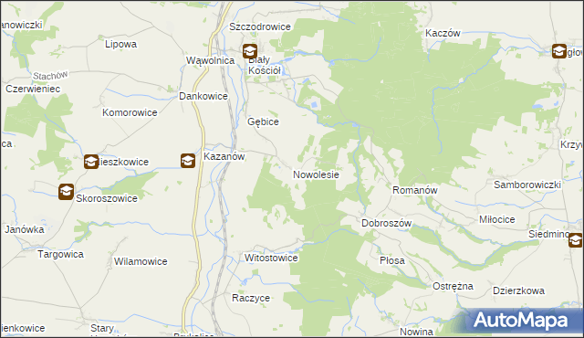 mapa Nowolesie, Nowolesie na mapie Targeo