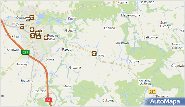 mapa Rogajny gmina Pasłęk, Rogajny gmina Pasłęk na mapie Targeo