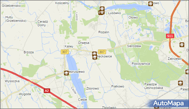 mapa Więckowice gmina Dopiewo, Więckowice gmina Dopiewo na mapie Targeo