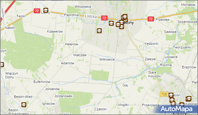 mapa Witkowice gmina Brzeziny, Witkowice gmina Brzeziny na mapie Targeo