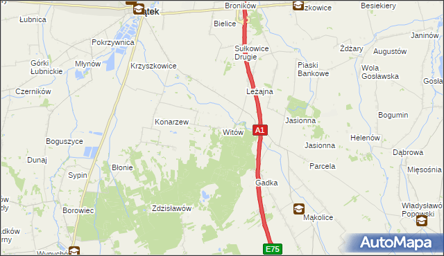 mapa Witów gmina Piątek, Witów gmina Piątek na mapie Targeo