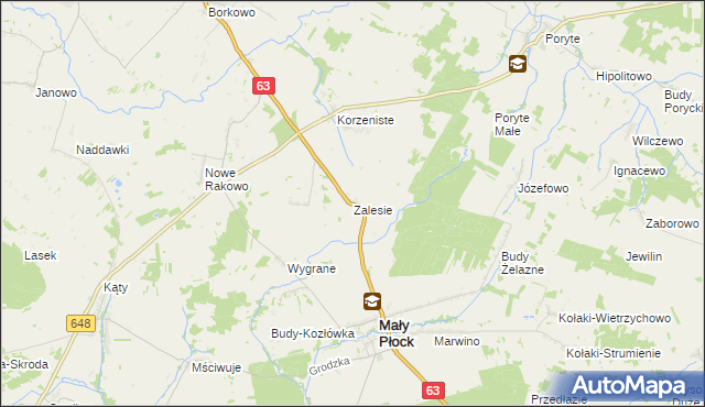 mapa Zalesie gmina Mały Płock, Zalesie gmina Mały Płock na mapie Targeo